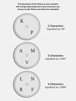 Classic 18K Gold Custom Medallion Necklace - Circle Pendant -Baublebar 109140 Charecters