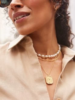 Dog Tag 18K Gold Custom Reversible Necklace -Baublebar Medallion Frame 61492 m4 062823